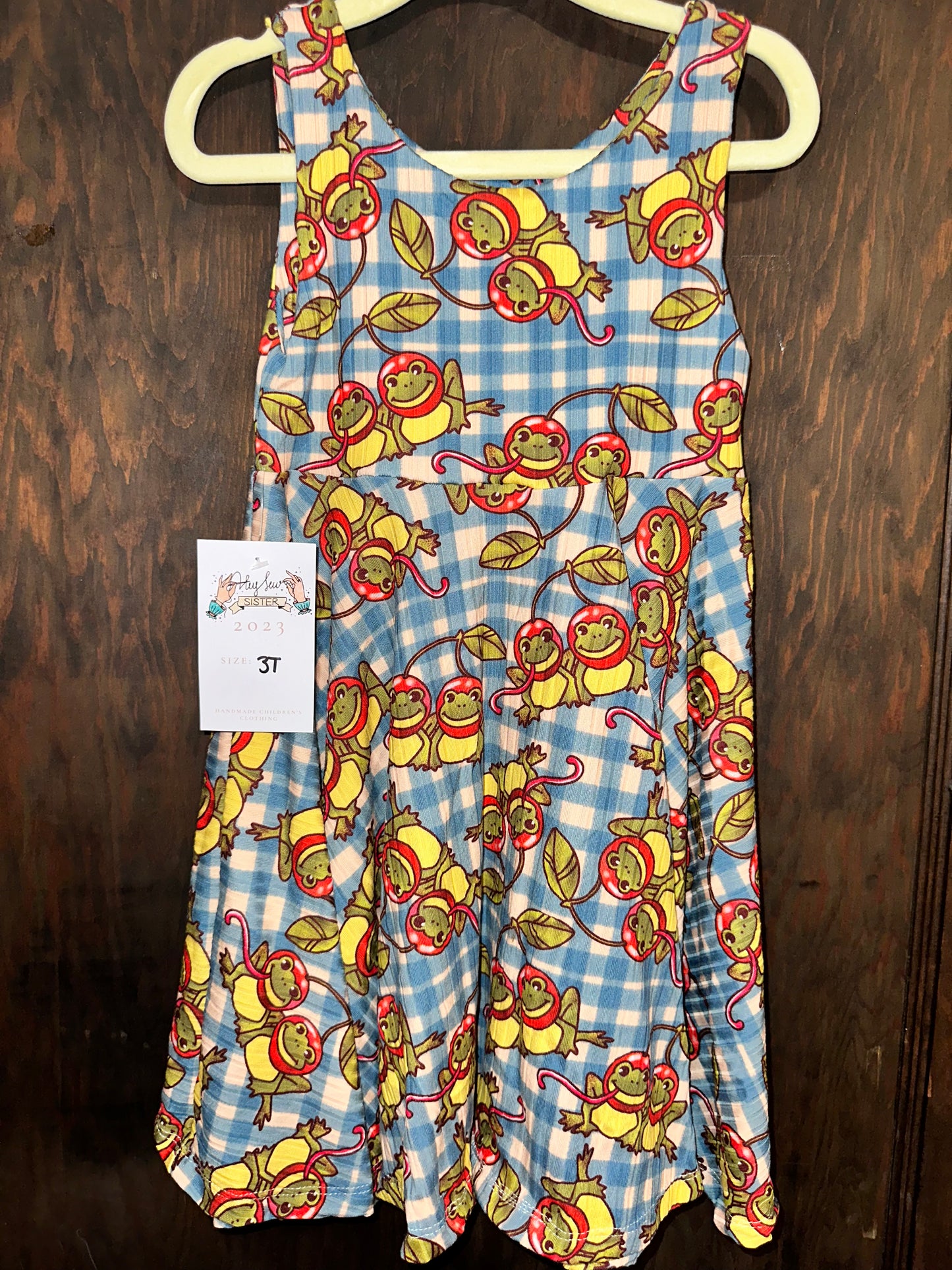 3T picnic froggy twirl dress